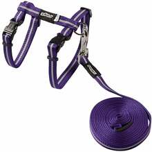 Traksid koos jalutusrihmaga Rogz Alley Cat, 24-40 cm, 180 cm x 10 mm, lilla