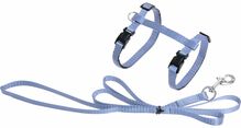 Kasside traksid koos rihmaga Flamingo Ziggi, 20-35 cm, 10 mm, 110 cm, helesinine