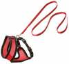 Kassipoja traksid koos rihmaga Flamingo Kitten Harness & Leash, 110 cm x 10 mm, must/punane