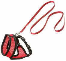 Kassipoja traksid koos rihmaga Flamingo Kitten Harness & Leash, 110 cm x 10 mm, must/punane