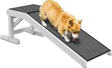 Lemmikloomade ramp Pawhut, 125 x 40 x 35,5 cm, kuni 30 kg