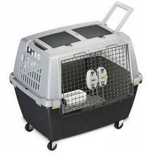 Transpordipuur Zolux Gulliver Touring, 80 x 58,5 x 62 cm, hall/must