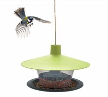 Lindude söötja PLASTIA Finch, 28 cm