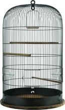 Linnupuur Zolux Retro Marthe, 45 x 45 cm