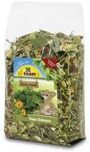 Täisväärtuslik deegu toit JR FARM GMBH, 800 g