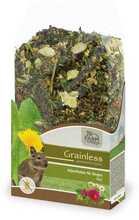 Täisväärtuslik teraviljavaba deegu toit JR FARM Grainless Mix, 650 g