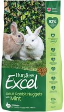 Toit täiskasvanud küülikutele Burgess Adult Rabbit Nuggets with Mint, 3 kg