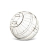 Jooksupall närilistele Savic Runner Small, 12 cm