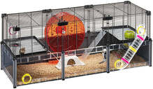 Puur närilistele Ferplast Multipla Hamster Large, 107.5 x 37.5 x 42 cm