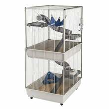 Puur närilistele Ferplast Furet Tower, 75 x 80 x 161 cm, beež