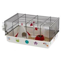 Puur närilistele Ferplast Criceti 9 Space, 46 x 29.5 x 23 cm