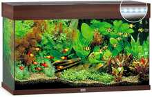 Akvaarium Juwel LED Rio, 125 L, tume puit