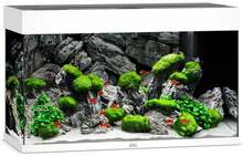 Akvaarium Juwel Rio 125 LED, 125 L, 81x36x50 cm, valge