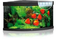 Akvaarium Juwel Trigon LED, nurgamudel, must, 350 L