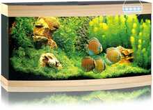 Akvaarium Juwel Vision LED 260, hele puit, varustusega, 260 L