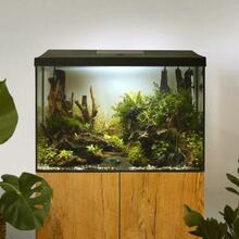 Akvaarium Aquael Leddy 60 XL Day&Night 2.0, must, 72 L