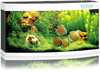 Akvaarium Juwel Vision LED 260, valge, varustusega, 260 L