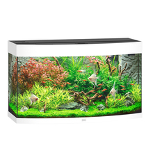 Akvaarium Juwel Vision LED, 180 L, valge