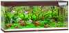 Akvaarium Juwel LED Rio 240, tume puit, varustusega, 240 L