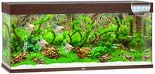 Akvaarium Juwel LED Rio 240, tume puit, varustusega, 240 L