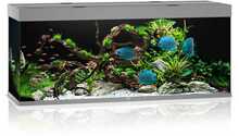 Akvaarium Juwel Rio LED 450 L, hall