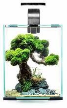 Akvaariumikomplekt Aquael Shrimp Set Smart, must, 10 L