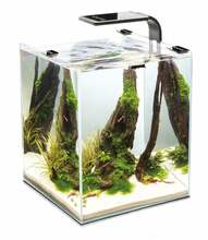 Akvaarium Aquael Shrimp Set Smart Day&Night, must, ilma varustuseta, 30 L