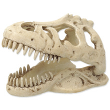 Terraariumi dekoratsioon Repti Planet T-Rex Skull, 13,3x8,5x9 cm