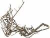 Akvaariumi dekoratsioon Terra Natura Japanese Root, 42040, 15 cm, must