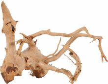 Akvaariumi dekoratsioon Zolux Spider Root 10, 30 cm, pruun