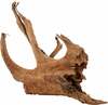 Akvaariumi dekoratsioon Zolux Mangrove Root, 356035, pruun, 40 cm, 3,73 kg