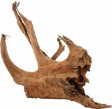 Akvaariumi dekoratsioon Zolux Mangrove Root, 356035, pruun, 40 cm, 3,73 kg