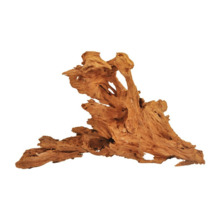 Mangroovijuur Happet, L, 40-60 cm