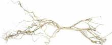 Akvaariumi dekoratsioon Terra Natura Root Weirwood, helepruun, 15 cm