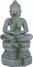 Akvaariumi dekoratsioon Zolux Buddha, 352204, 7,2 cm, hall