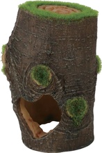 Akvaariumi dekoratsioon Zolux Kipouss, 352174, 7 cm, pruun, 0.103 kg