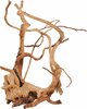 Akvaariumi dekoratsioon Zolux Spider Root 40, 50 cm, pruun
