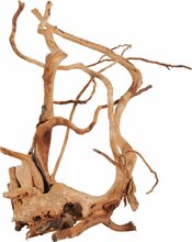Akvaariumi dekoratsioon Zolux Spider Root 40, 50 cm, pruun