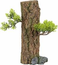 Akvaariumi dekoratsioon Zolux Forest, 352197, 13 cm, S, pruun/roheline, 0.105 kg