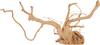 Akvaariumi dekoratsioon Zolux Spider Root, pruun, 53.5 cm