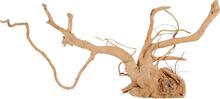 Akvaariumi dekoratsioon Zolux Spider Root, pruun, 53.5 cm