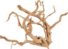 Akvaariumi dekoratsioon Zolux Spider Root 30, 40 cm, pruun
