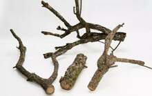 Akvaariumi dekoratsioon Terra Natura Oak Branch, 60 cm, pruun