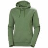 Džemper Helly Hansen Logo Hoodie, 2XL, roheline