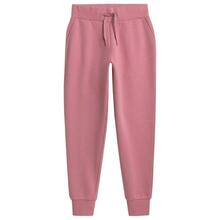 Naiste spordipüksid 4F W NOSH4 SPDD351 56S, XL, roosa