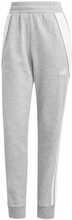 Naiste püksid Adidas Tiro 24 Sweat IS1011, 2XL, hall