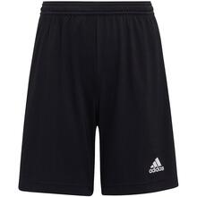 Lühikesed püksid poistele Adidas Entrada 22 Jr H57502, 164, must