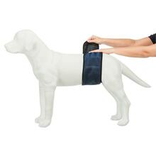 Korduvkasutatavad mähkmed isastele koertele Trixie S, 29-37 cm, tumesinine