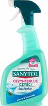 Vannitoa puhastusvahend Sanytol Eucalyptus, 500 ml