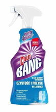 Vannitoa puhastusvahend Cillit Bang Clean & Shiny, 750 ml